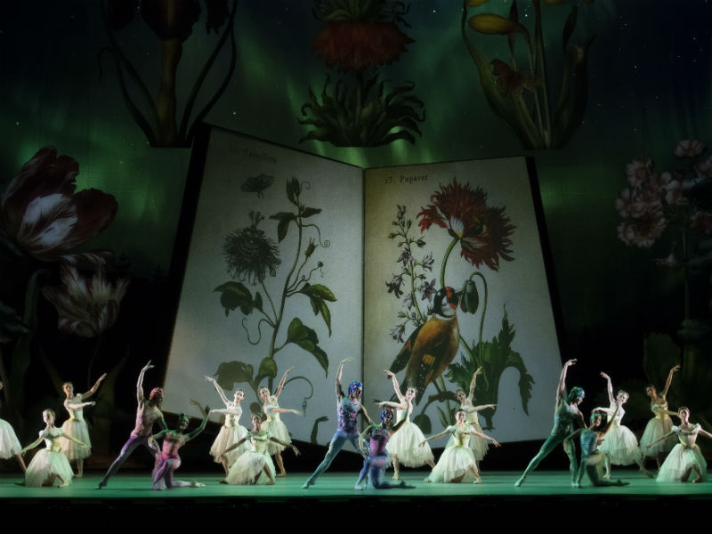 The Kennedy Center Presents Atlanta Ballet in The Nutcracker